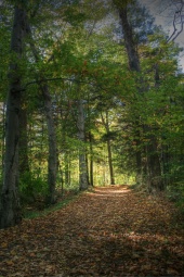 resized_fall08_7.jpg